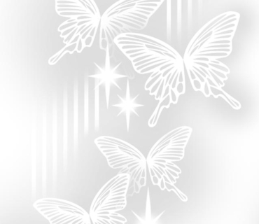 魔性の蝶と竜の守り