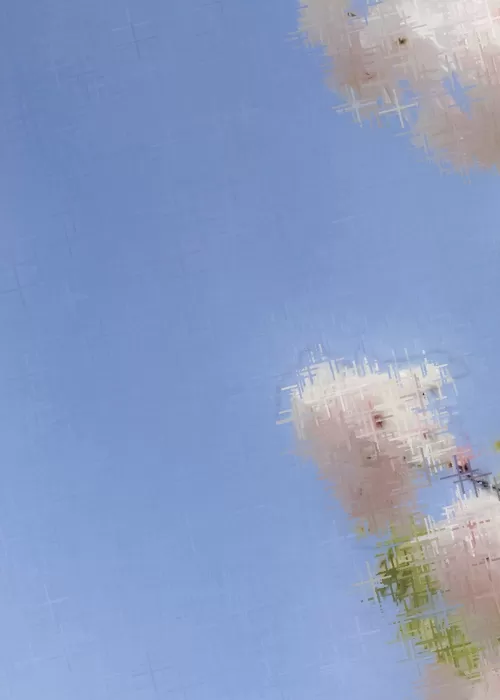 晴るはじめの明日を