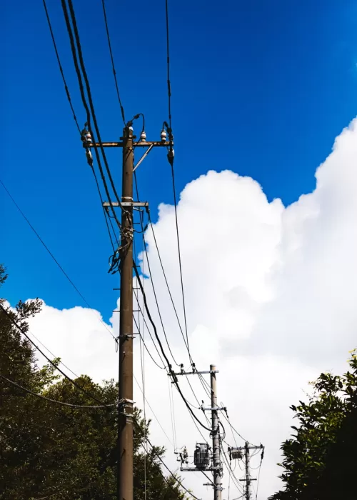 待ち人来たらず