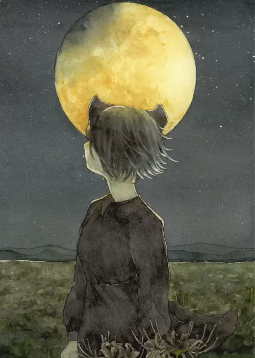 虚飾ドレスコード