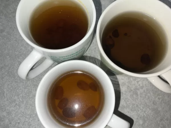 悪の強いどんぐり2