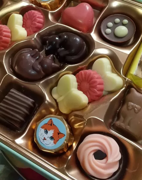 チョコレート　画像